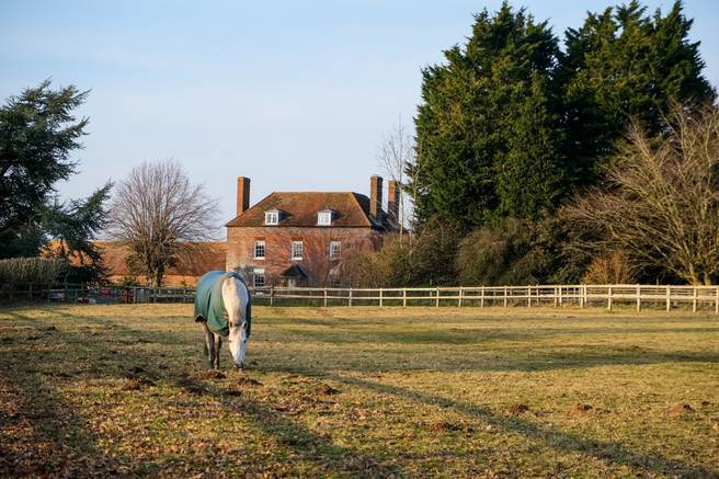 farmhouse-horse-60kb